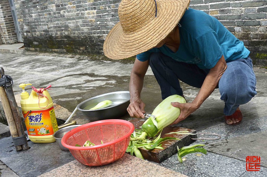 melon-peeling-the-taishan-project